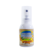 Gengibrem Spray Composto de Mel e Extrato de Própolis Sabor Gengibre 30ml Embalagem Pet