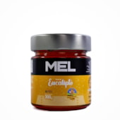 Produto Mel Eucalipto 100% Natural 300g Pote Vidro