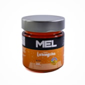 Mel Flores de Laranjeira 100% Natural 300g Pote Vidro