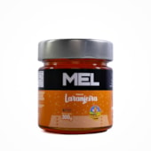 Produto Mel Flores de Laranjeira 100% Natural 300g Pote Vidro