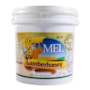 Mel Flores de Laranjeira 100% Natural Balde Plástico 5kg