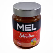 Mel Flores Silvestre 100% Natural 500g Pote Vidro